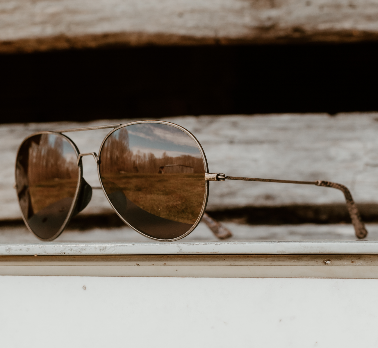 Tangle Free Aviator - Snakeskin Polarized - Image 6